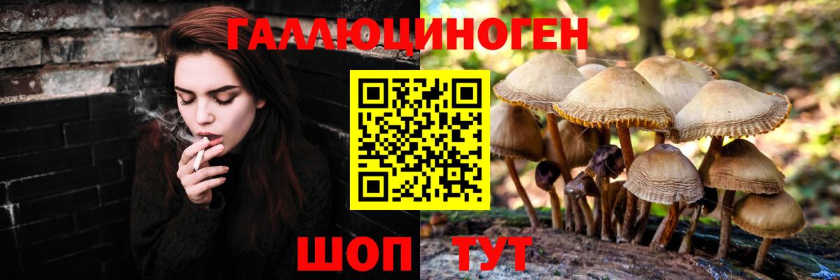 Галлюциногенные грибы ЛСД Алейск
