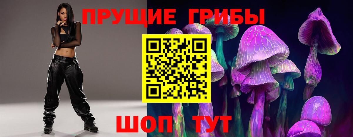 купить закладку  Галлюциногенные грибы MAGIC MUSHROOMS  Вход с VPN  Псилоцибиновые грибы Magic Shrooms  Алейск 